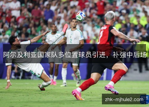 阿尔及利亚国家队多位置球员引进，补强中后场